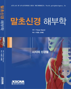 말초신경 해부학(사지의 신경들)